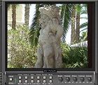 DV Rack monitor